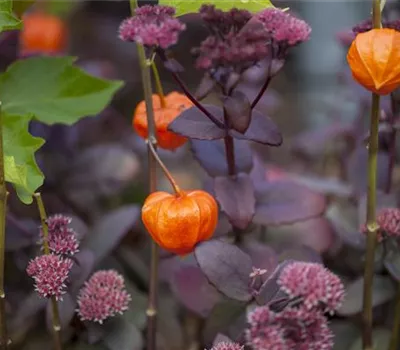 Schaurig schöne Tischgirlande aus Physalis