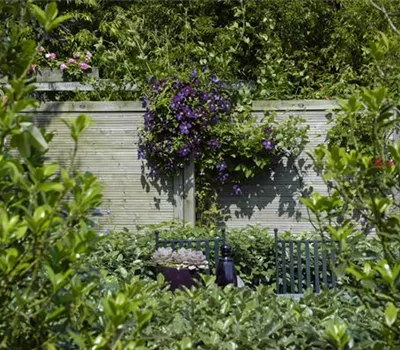 Nachbarn? Nein, danke! Der passende Sichtschutz für den Garten Nachbarn? Nein, danke! Der passende Sichtschutz für den Garten