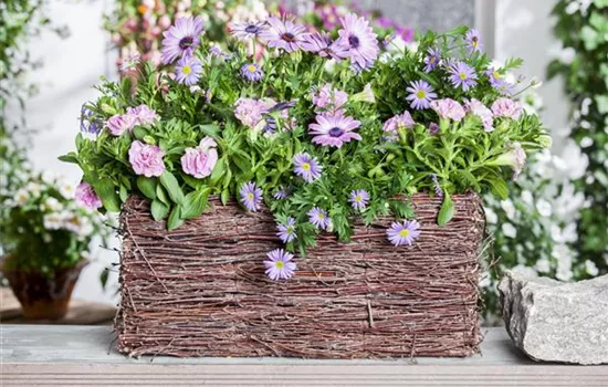 Frühling, Sommer, Herbst, Winter: der Balkon ist immer ein schöner Anblick